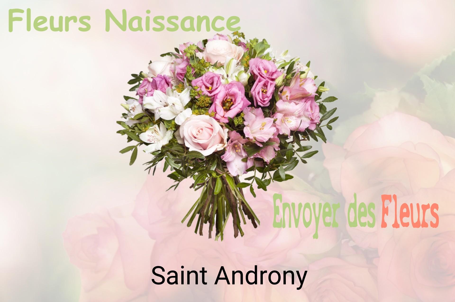 Bouquet de fleurs de naissance livré à Saint-Androny