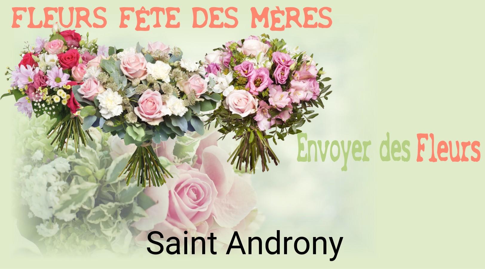 Bouquet de Fête des Mères livré à Saint-Androny